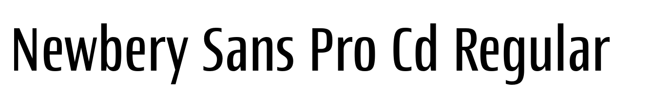 Newbery Sans Pro Cd Regular